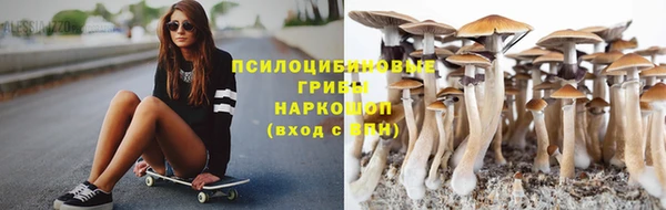 2c-b Верея