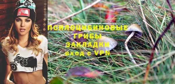 соль курить ск Бронницы