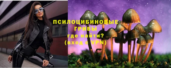 трава Бородино