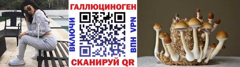 ссылка на мегу ссылки  Козловка  Псилоцибиновые грибы ЛСД  где продают наркотики 